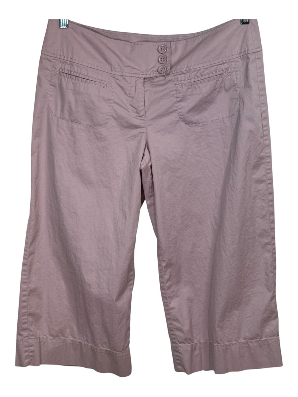 Anthropologie Lavender Wide Leg Capri Cropped Pants Preppy Coastal Summer Sz 10